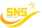 logo star niaga sukses